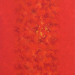 Nel groviglio di un rosso - Acrilico e sabbie cm80 x cm100