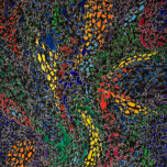 Serie mosaico base nero - acrilico - cm 60 x cm 90