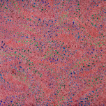 Serie Mosaico - Base rosso scuro - cm 100 x cm 70